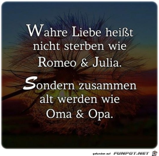 Wahre Liebe