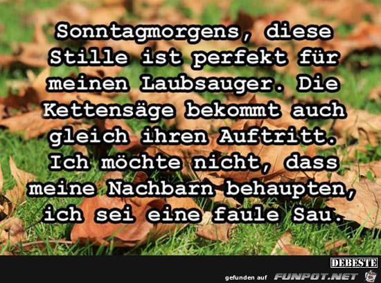 Sonntagsmorgens......... Sonntagsmorgens.........