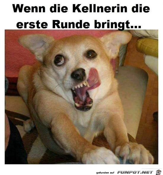 die erste Runde...