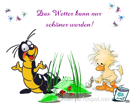 Das Wetter kann nur schoener werden Das Wetter kann nur schoener werden
