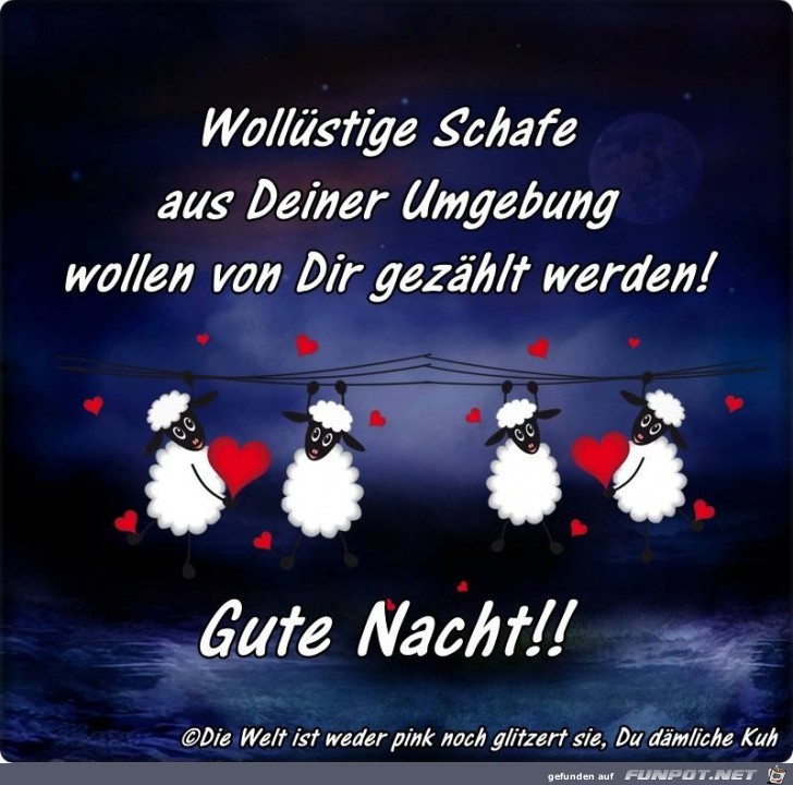 Wolluestige Schafe Wolluestige Schafe