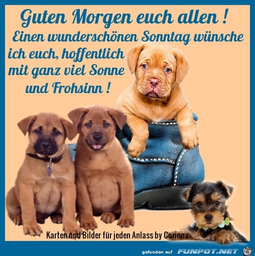 Guten Morgen euch allen