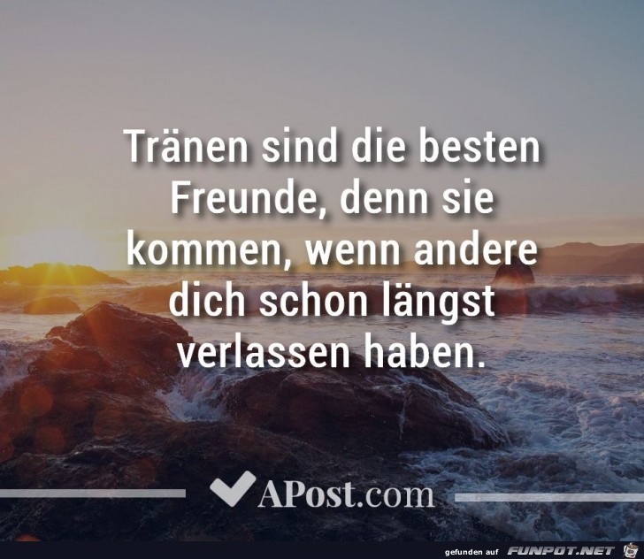 Traenen sind die besten Freunde