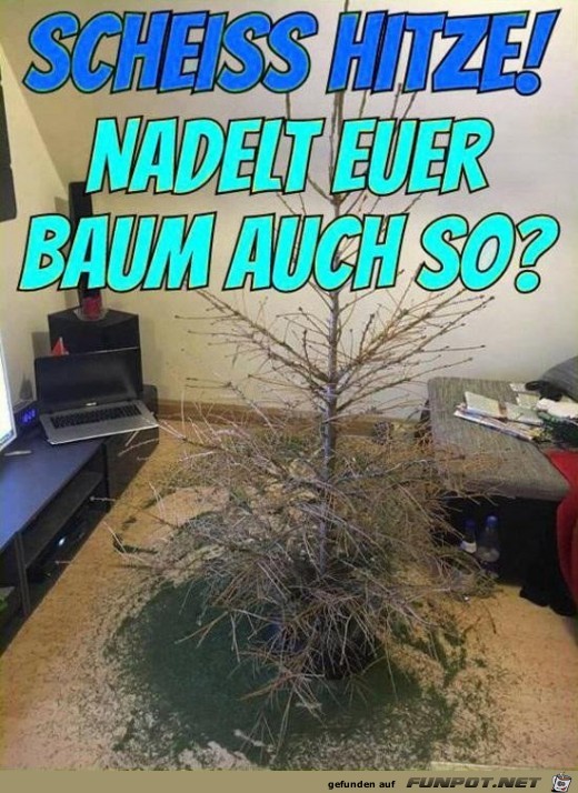 Eine Frechheit Eine Frechheit