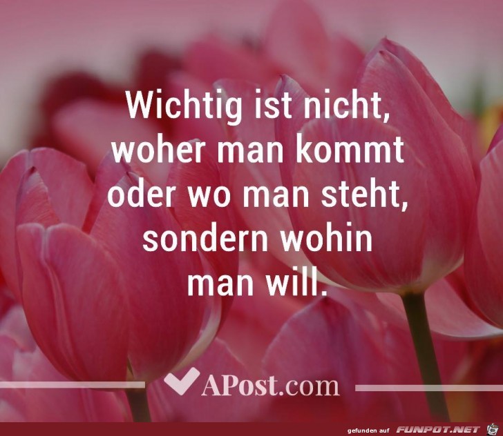 Wohin man will Wohin man will