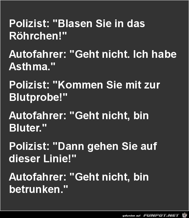 Polizeikontrolle...............