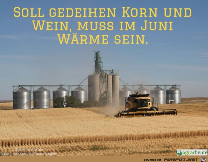 Bauernregel Juni I Bauernregel Juni I