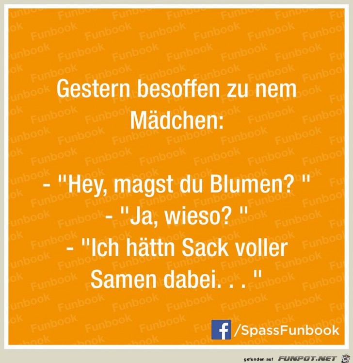 Samen günstig abzugeben Samen günstig abzugeben