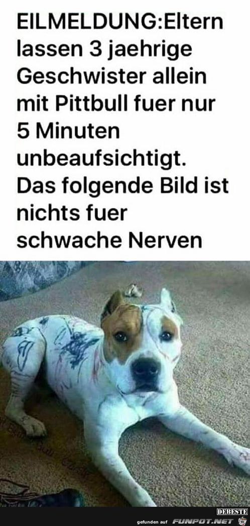 Nichts fr schwache Nerven !