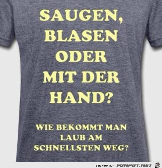 Wie bekommt man Laub am schnellsten weg ? Wie bekommt man Laub am schnellsten weg ?