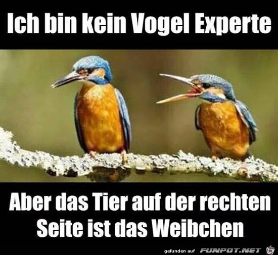 Das sieht man doch ! Das sieht man doch !