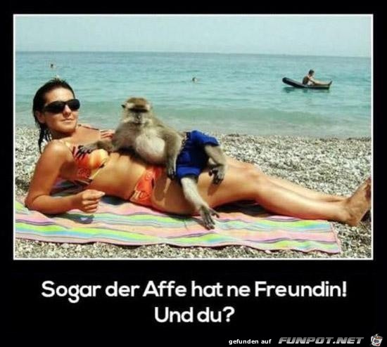 Jeder hat eine Freundin Jeder hat eine Freundin