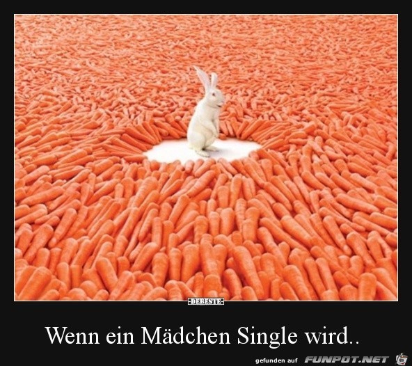 So in etwa könnte das aussehen So in etwa könnte das aussehen