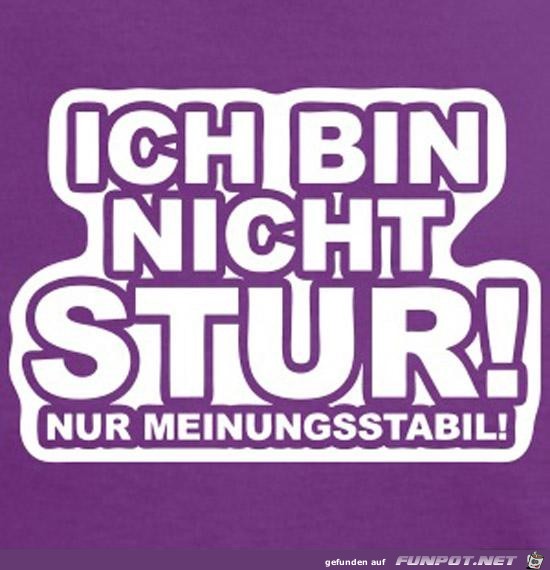 Meinungsstabil Meinungsstabil