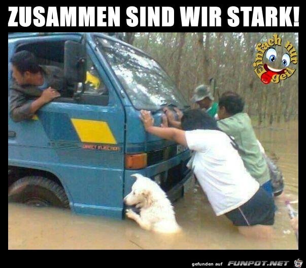 Zusammen sind wir stark Zusammen sind wir stark