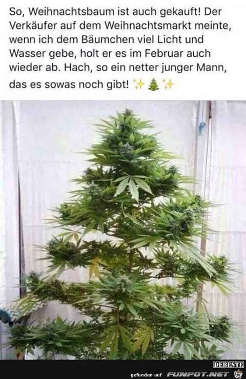 Weihnachtsbaum mit Rckgabe Garantie