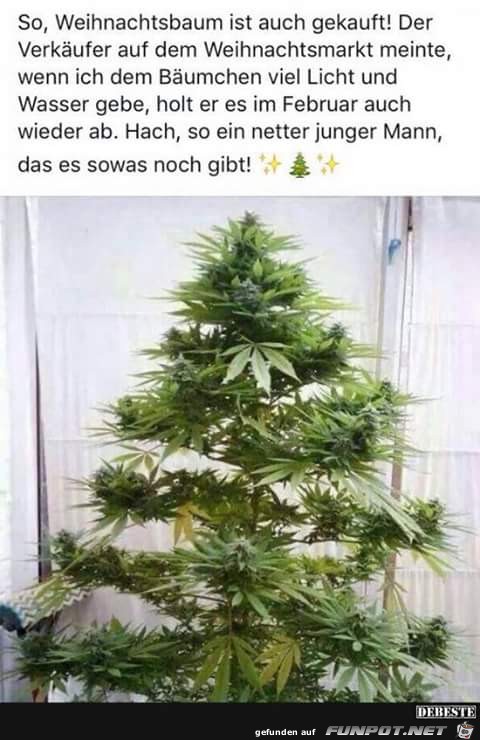 Weihnachtsbaum mit Rückgabe Garantie Weihnachtsbaum mit Rückgabe Garantie