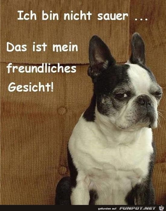 ich bin nicht sauer......... ich bin nicht sauer.........