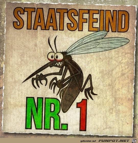 Staatsfeind Staatsfeind