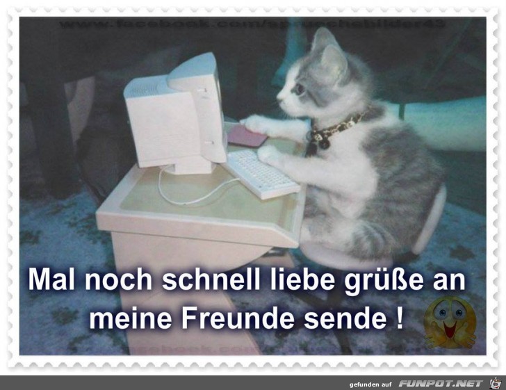 Mal noch schnell liebe Gruesse Mal noch schnell liebe Gruesse