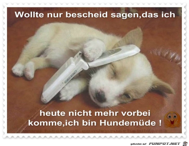 Wollte nur bescheid sagen Wollte nur bescheid sagen