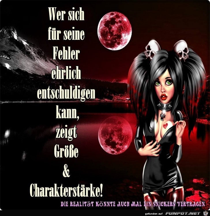 Wer sich fuer seine Fehler Wer sich fuer seine Fehler