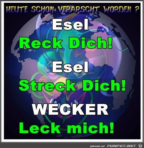 Gedicht Gedicht