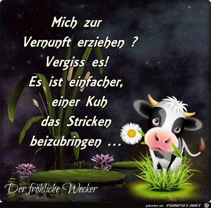 Mich zur Vernunft erziehen Mich zur Vernunft erziehen
