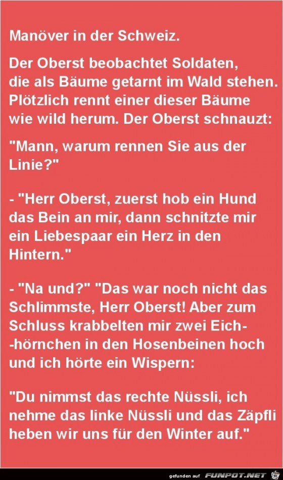 Manöver in der Schweiz......... Manöver in der Schweiz.........