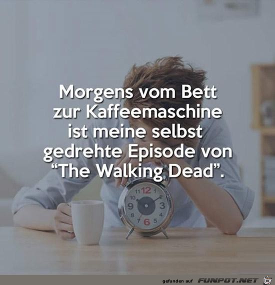 Netter Vergleich Netter Vergleich