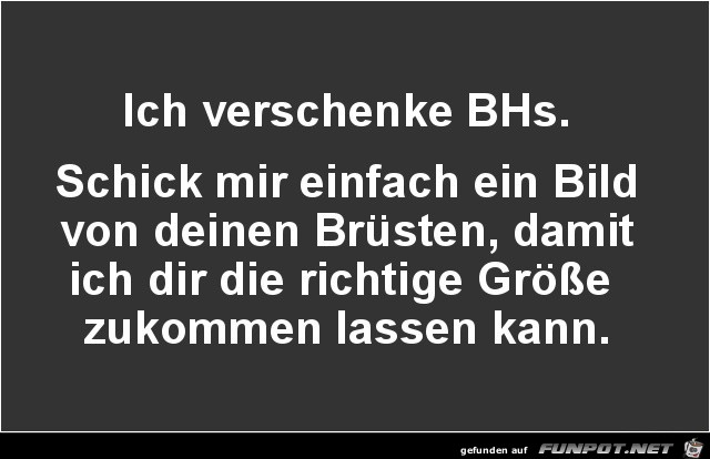 Netter Versuch Netter Versuch