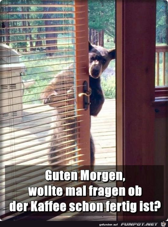 Ist jemand da? Ist jemand da?
