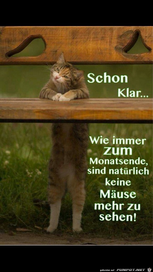 Immer dasselbe