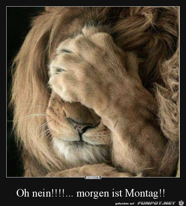oh nein......... oh nein.........