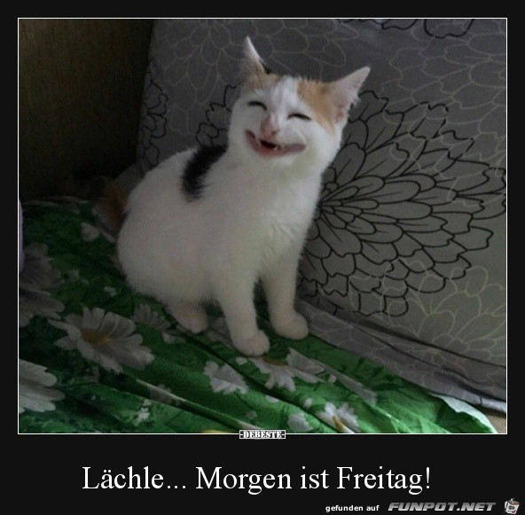 lächle,... lächle,...