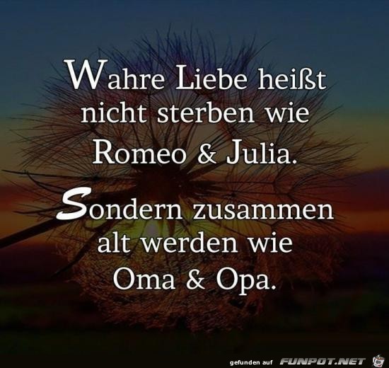 wahre Liebe heisst nicht sterben.......