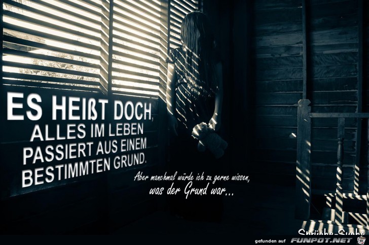 was-war-der-grund?......... was-war-der-grund?.........