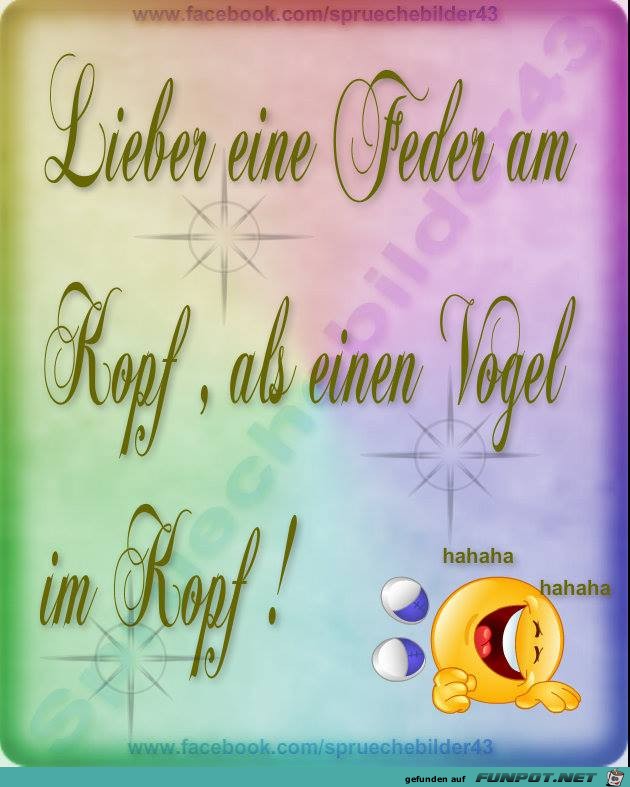 Liebe eine Feder am Kopf Liebe eine Feder am Kopf