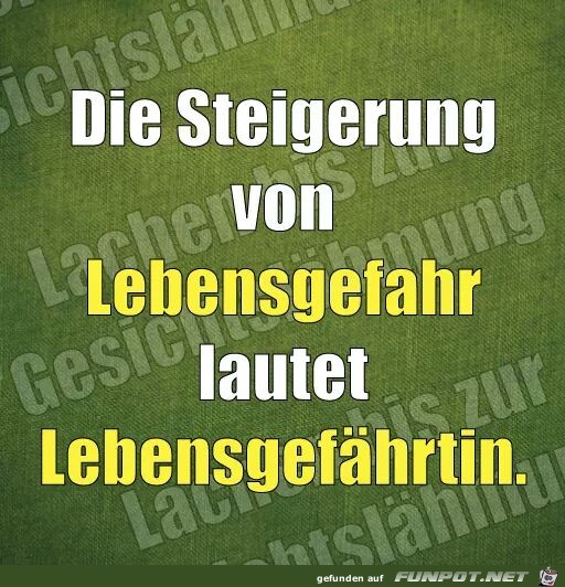 Steigerung Steigerung
