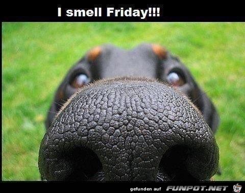 I smell Friday!!!
