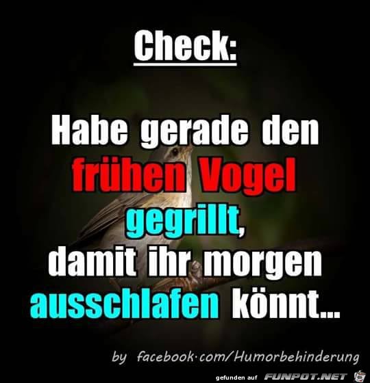 Der frühe Vogel ist nicht mehr Der frühe Vogel ist nicht mehr