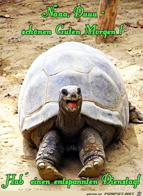 Dienstag Dienstag