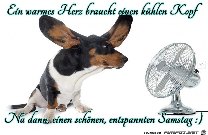 Samstag Samstag