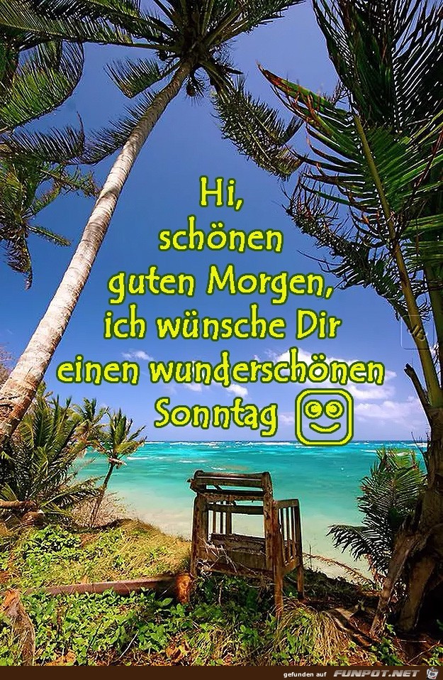 Sonntag Sonntag