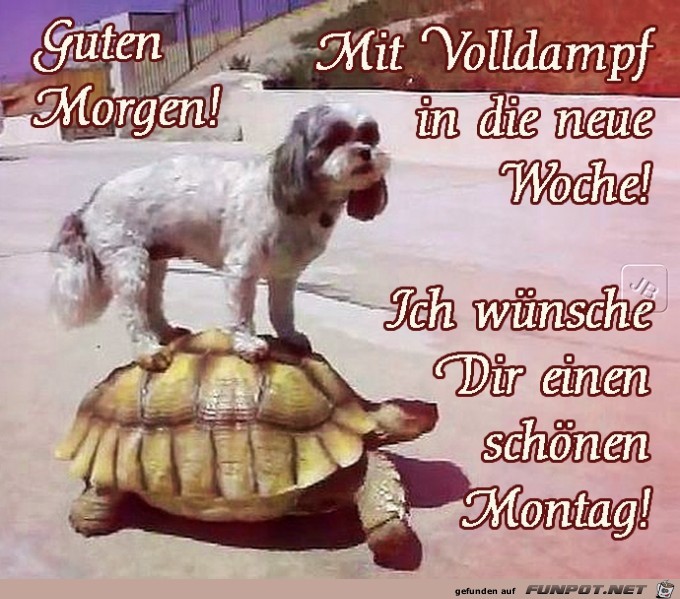 Montag Montag