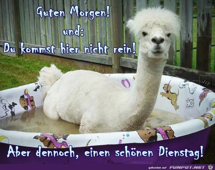 Dienstag Dienstag