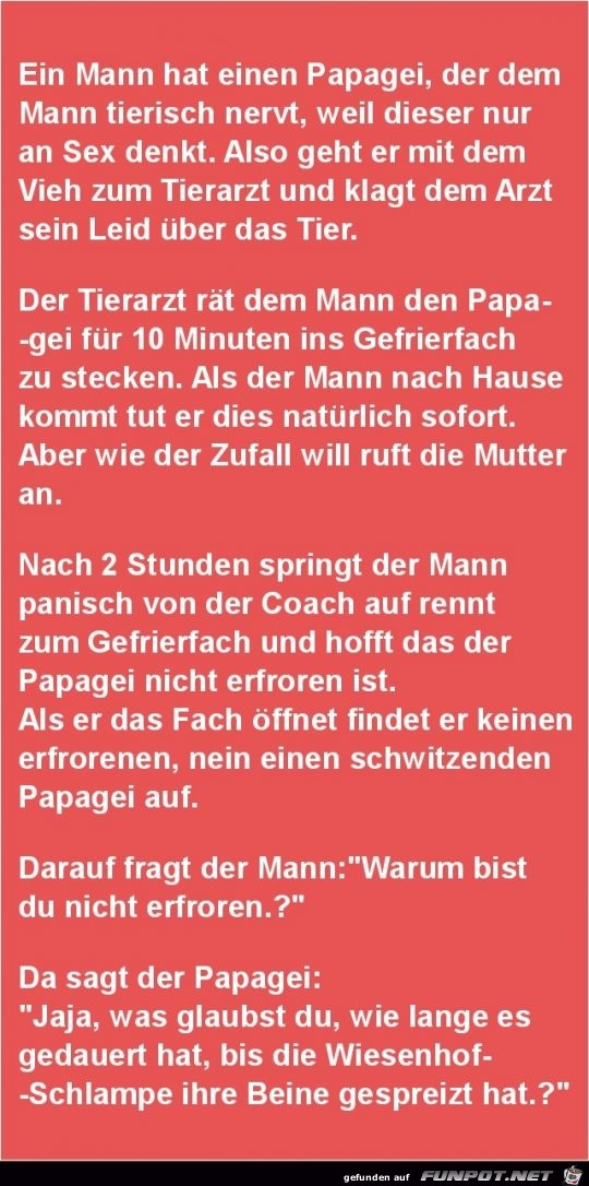 ein Mann hat einen Papagei....... ein Mann hat einen Papagei.......