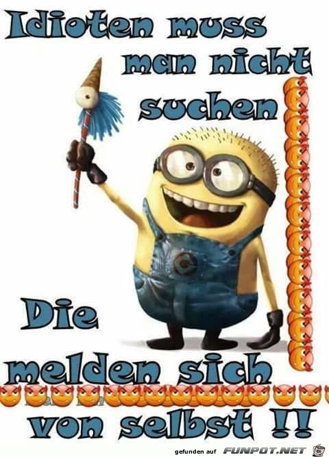 Idioten muss man nicht suchen Idioten muss man nicht suchen