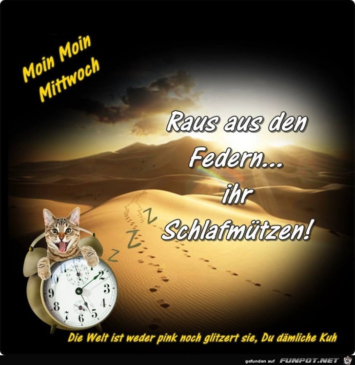 Raus aus den Federn - Raus aus den Federn -