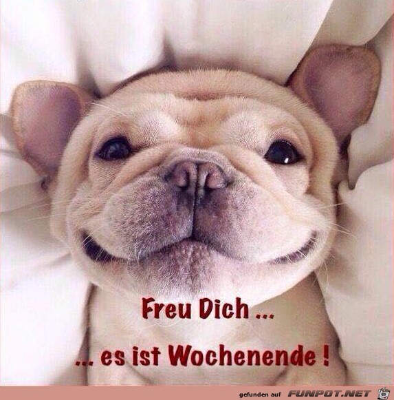 Wochenendeeeee Wochenendeeeee